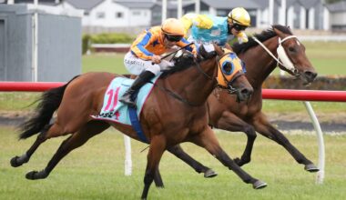 Wiremu Pinn gets tactics spot on to help David Greene to first Group 1 success
