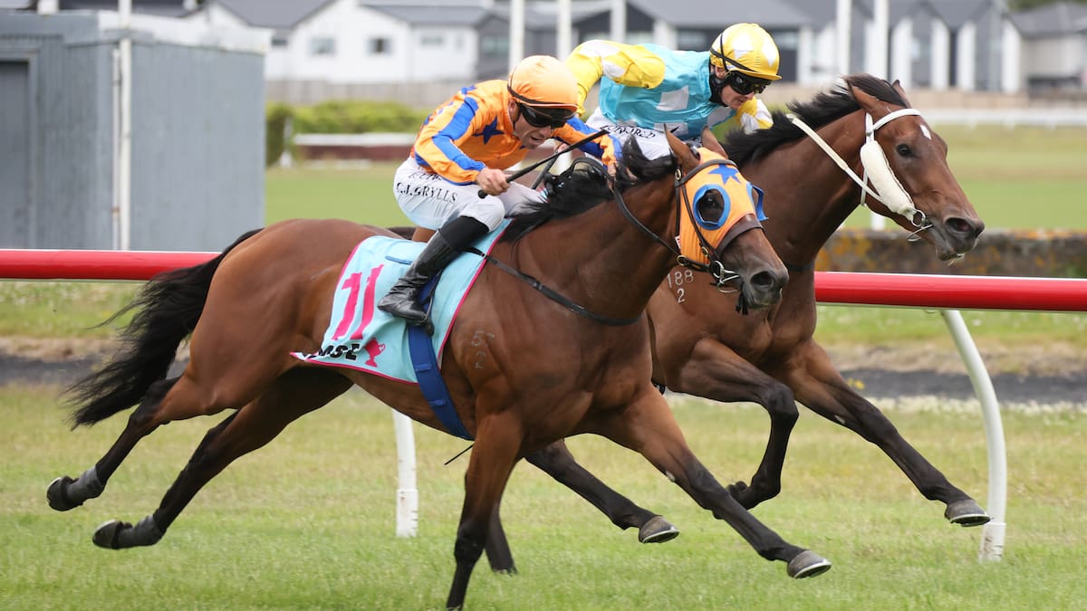 Wiremu Pinn gets tactics spot on to help David Greene to first Group 1 success