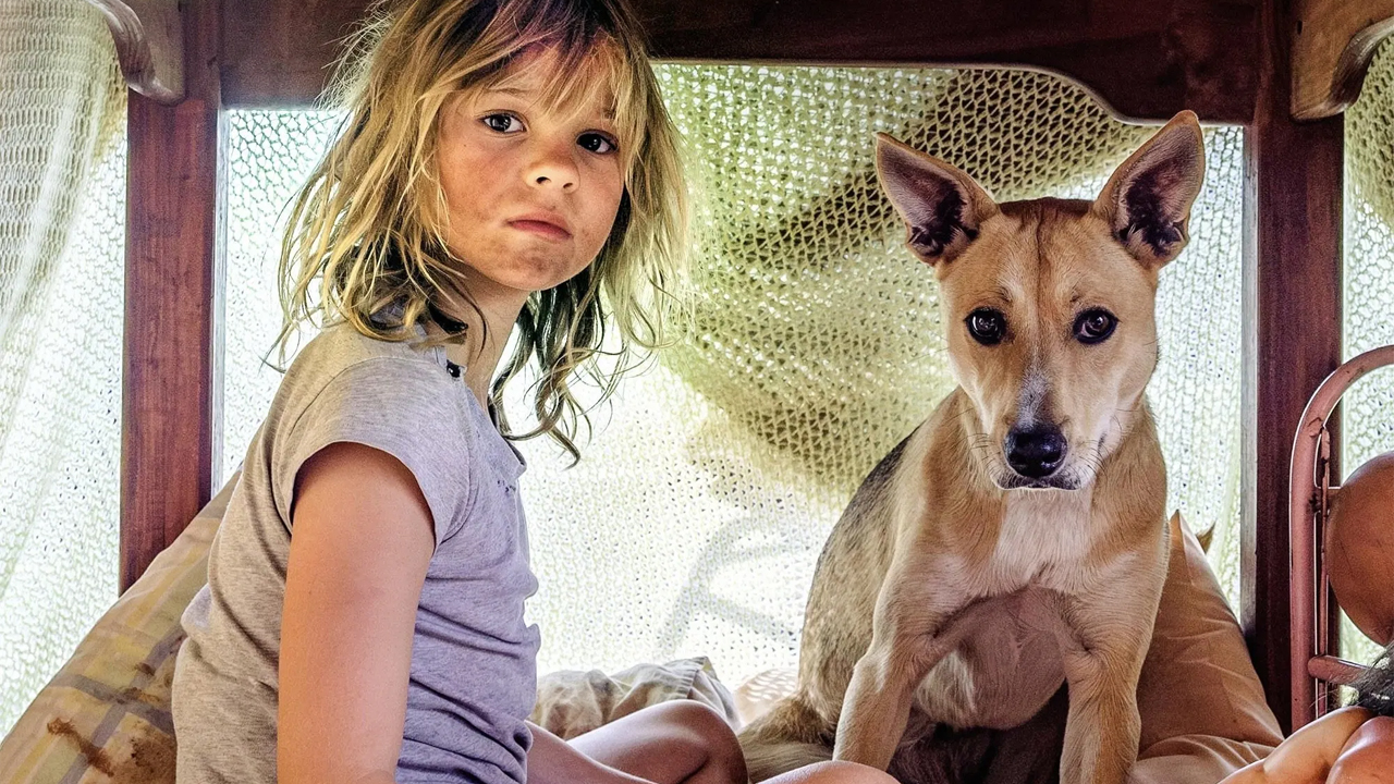 Dont Lets Go To The Dogs Tonight Coming To Netflix