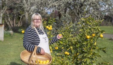 Raglan preserves business: From backyard fruit to farmers markets