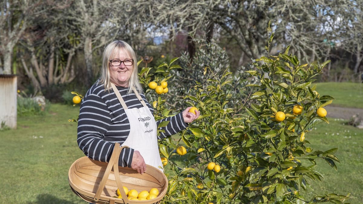 Raglan preserves business: From backyard fruit to farmers markets
