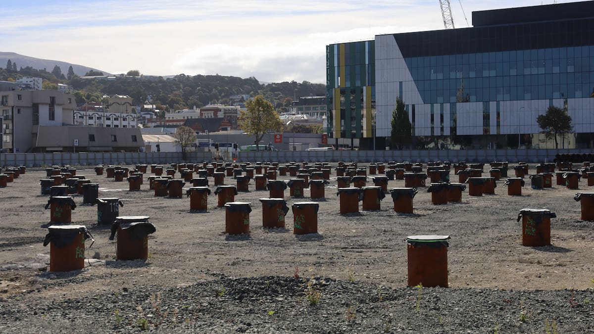 $2500 a day: Dunedin hospital Crown manager’s fee more than doubles from previous roles