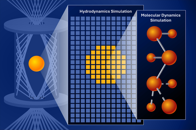 Code Links Microscopic Insights to Macro World