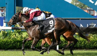 Karaka Millions: More magic from Queensland training wizard as Dream Roca wins at Ellerslie