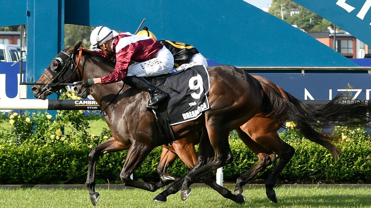 Karaka Millions: More magic from Queensland training wizard as Dream Roca wins at Ellerslie