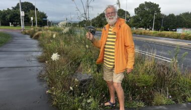 Rotorua: Te Ngae Rd overgrown gardens to get makeover following safety concerns