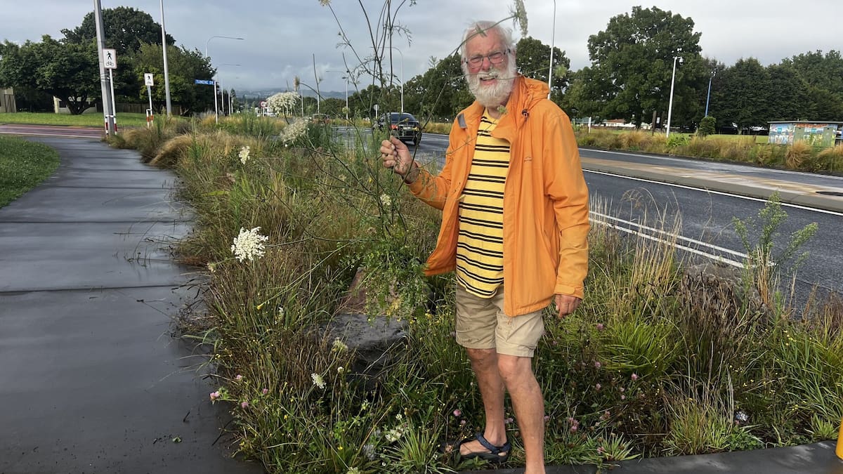 Rotorua: Te Ngae Rd overgrown gardens to get makeover following safety concerns