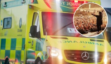 Rolling Meadows festival accident: Two men hurt in Ferris wheel fall