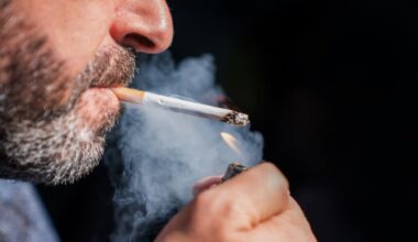 Study claims illicit tobacco is now more than a quarter of the New Zealand market