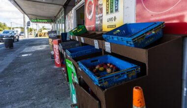 Mt Roskill store pulls produce as fruit fly biosecurity operation ramps up