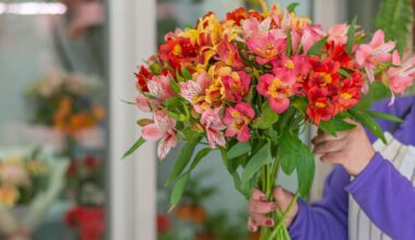 NZ’s Flower Market vs the World Today