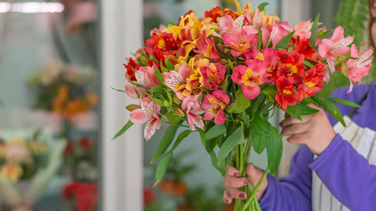 NZ’s Flower Market vs the World Today