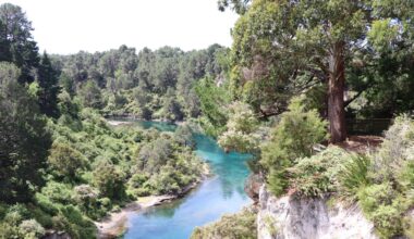 Waikato River tragedy: Adoptive father searched for missing son’s body