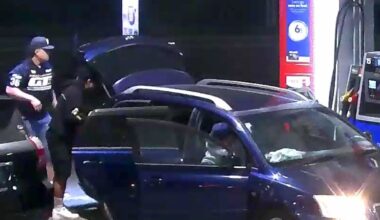 Wellington police hunt alleged offenders involved in Churton Park assault