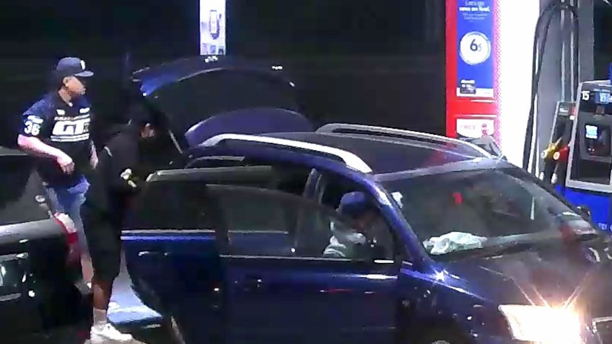 Wellington police hunt alleged offenders involved in Churton Park assault