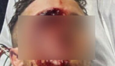 Shane Khan ordered to serve full jail term after baseball bat attack on mate in Hamilton