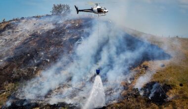 Australian heatwave set to cook Hawke’s Bay