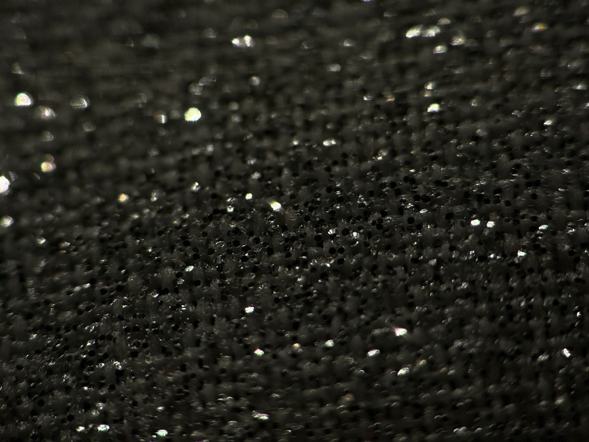 Shiftcam 240mm Super Zoom Tele macro sample.