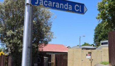 SunLive - Social housing tenant ordered to leave