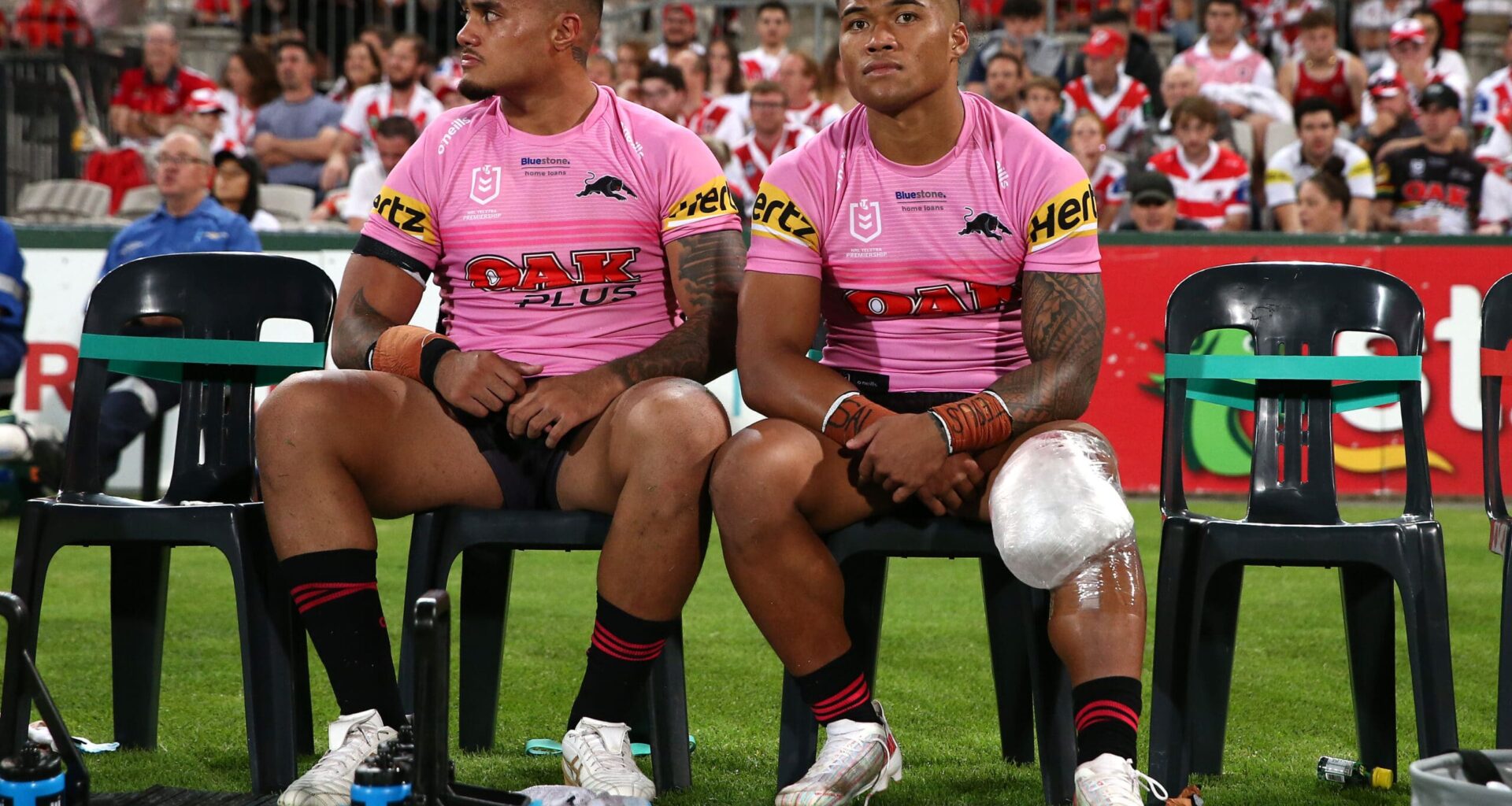 What will NRL benches look like in 2026? - NRL News