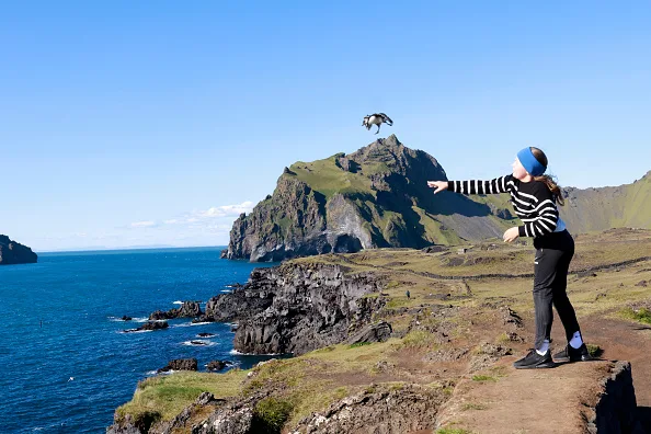 Iceland Residents Launch Annual Puffin Patrol 