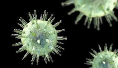 New mechanism links Epstein-Barr virus to MS