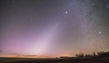 A Swarm of Stars Is Visible Throughout January—How to See the 'Beehive Cluster'