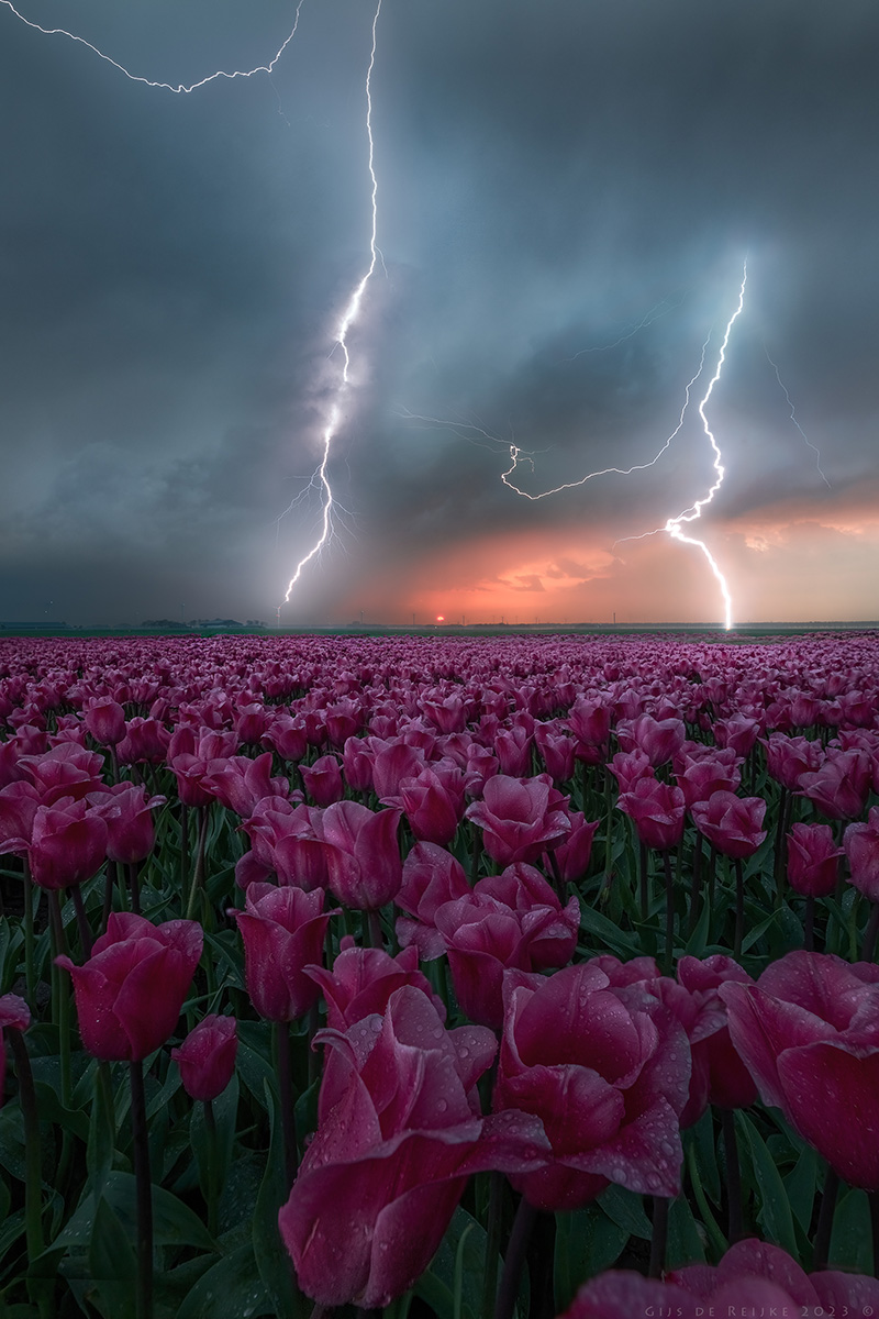 Gijs-de-Reijke-Zeewolde-Netherlands-2023