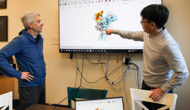 Scientists identify target to treat devastating brain disease