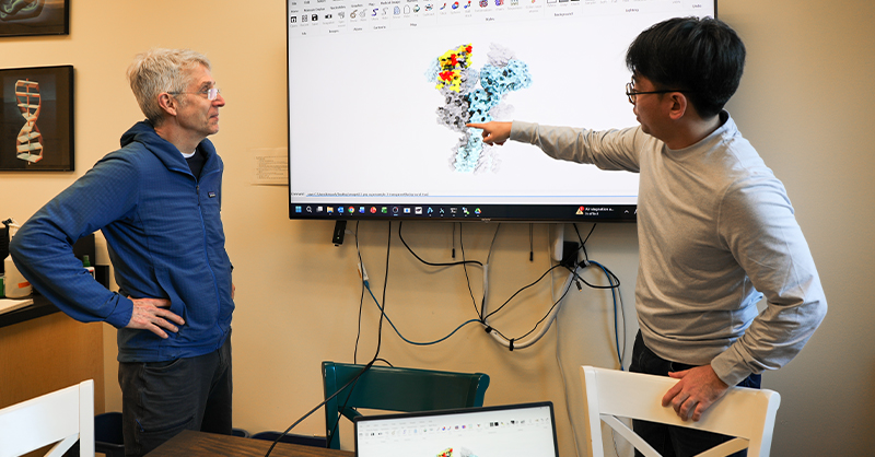 Scientists identify target to treat devastating brain disease