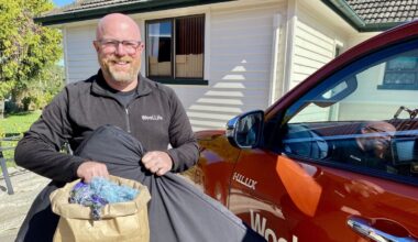 Hastings firm Wool Life gets ASA decision overturned after complaint about sustainable dog bed ad