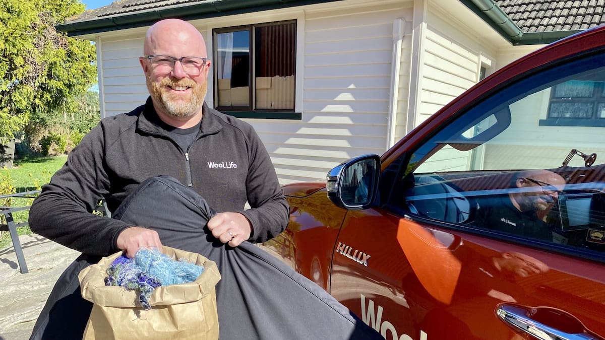 Hastings firm Wool Life gets ASA decision overturned after complaint about sustainable dog bed ad