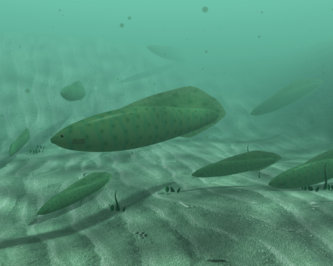 Artistic reconstruction of a group of Myllokunmingiidae swimming near the seafloor