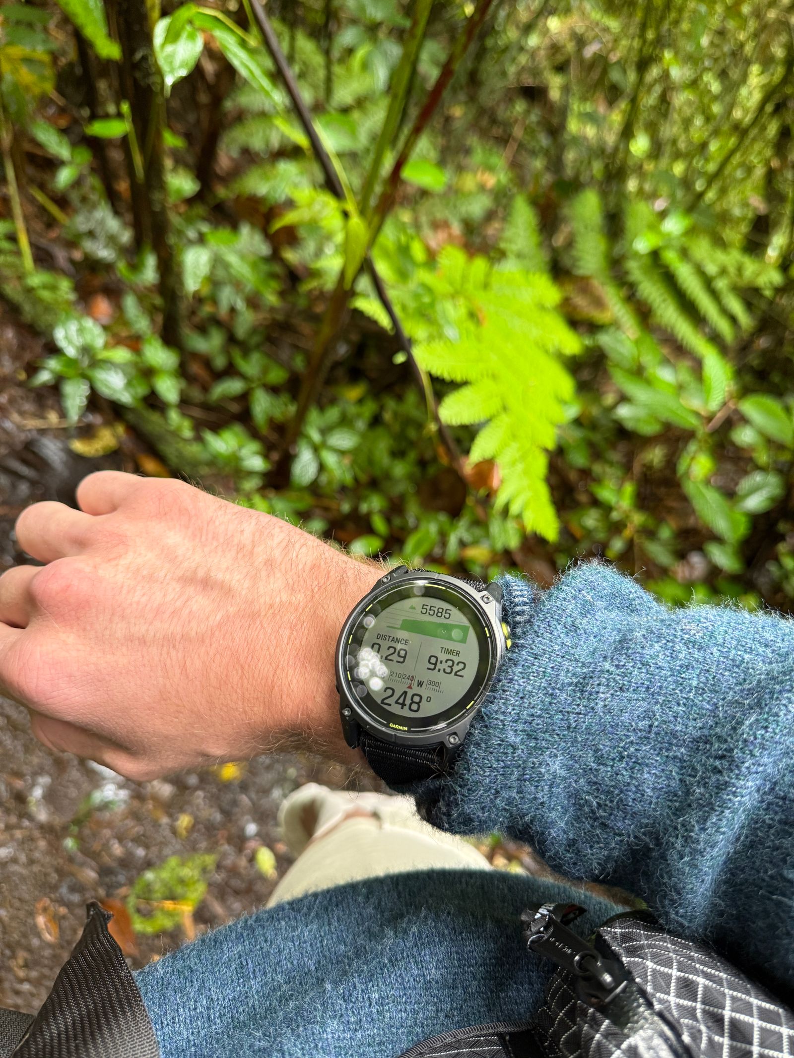 Image may contain Plant Vegetation Arm Body Part Person Electronics Wristwatch and Screen