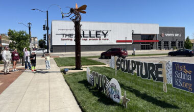 A Fishing Wasp is the People’s Choice