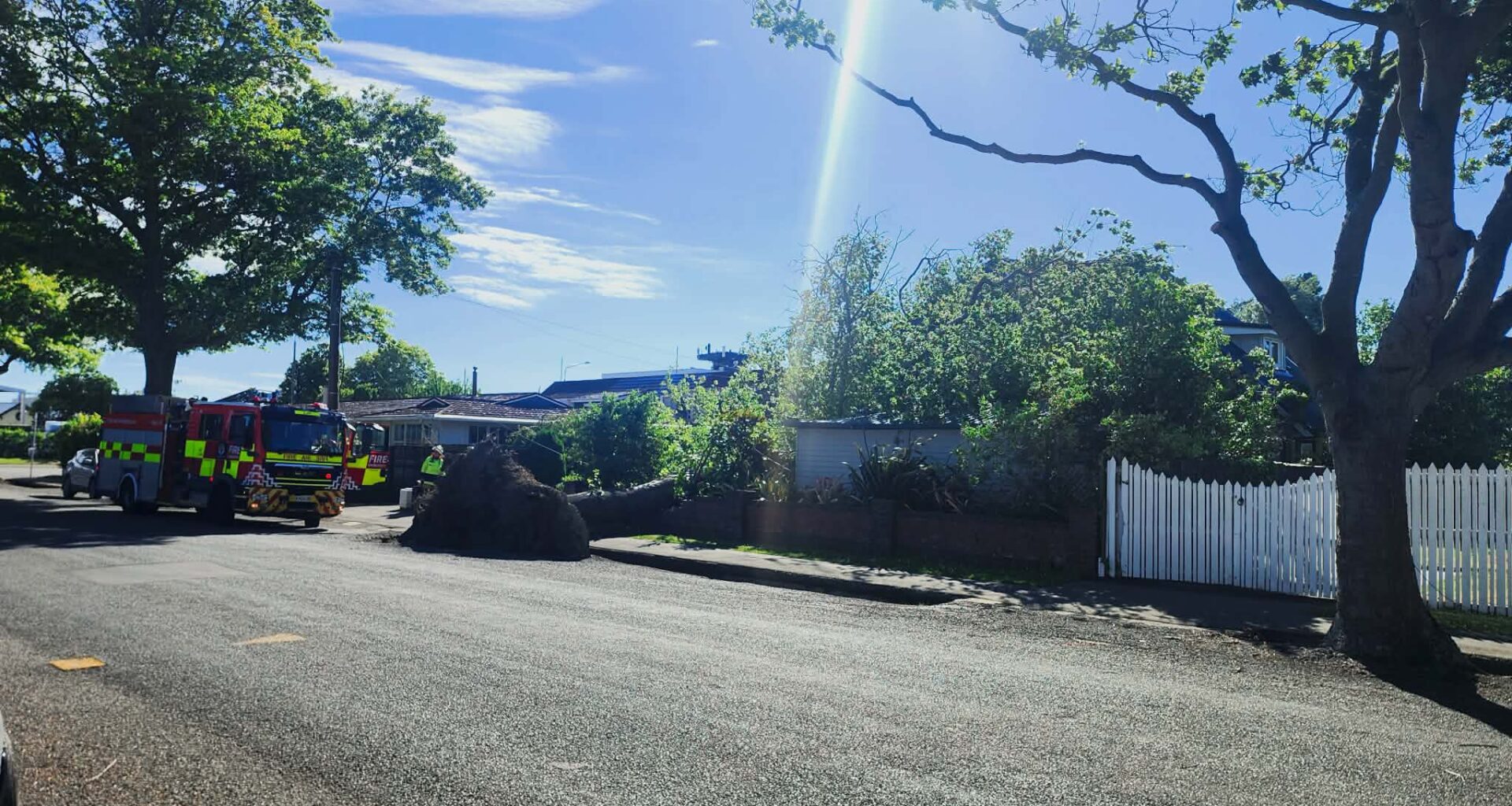 Strong winds topple tree onto Papanui home