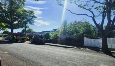 Strong winds topple tree onto Papanui home