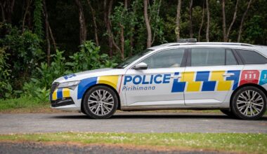 Pilot, passenger killed in Paekākāriki Hill helicopter crash were pest control contractors