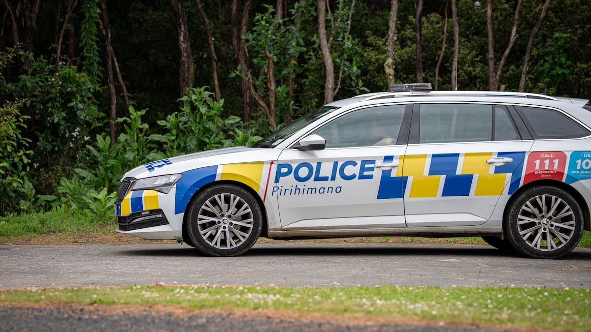 Pilot, passenger killed in Paekākāriki Hill helicopter crash were pest control contractors