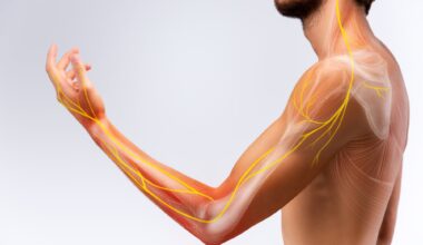 Illustration of the human arm anatomy representing nerves, bones and ligaments