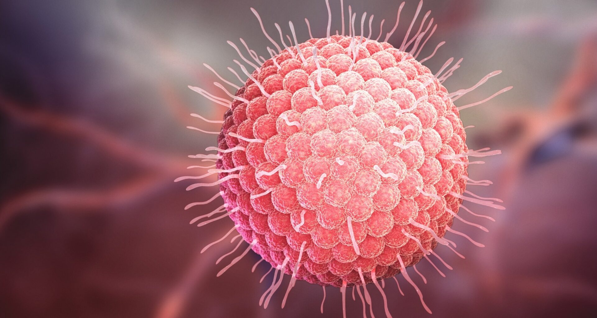 Varicella zoster virus or varicella-zoster virus (VZV) 3D illustration. Image Credit: Tatiana Shepeleva / Shutterstock