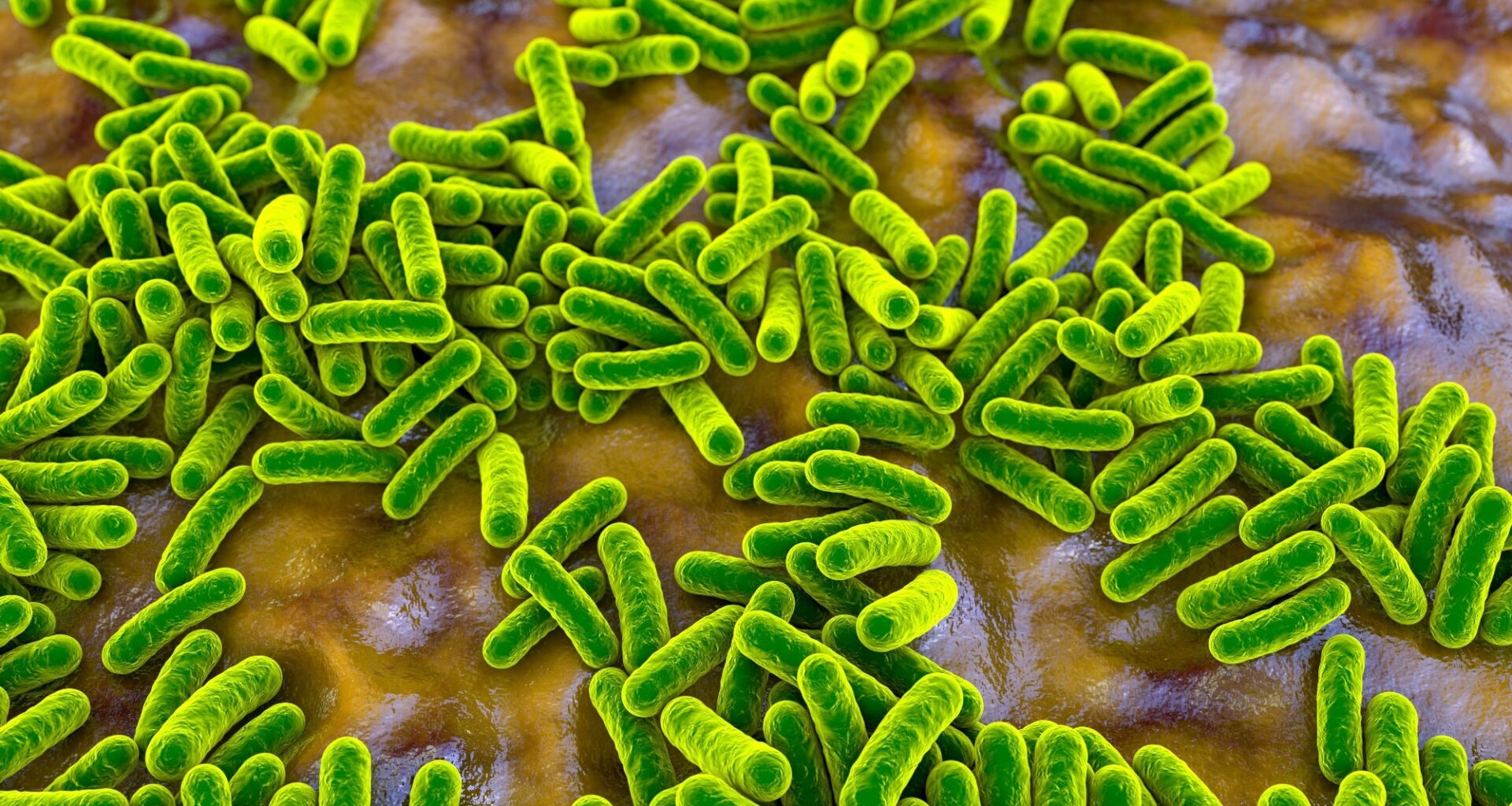 Study: Emerging Roles of Modern Lifestyle Factors in Microbiome Stability and Functionality. Image Credit: Kateryna Kon / Shutterstock