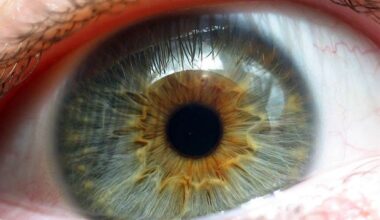 Ultra-thin nanotechnology enables safe wireless stimulation for retinal degeneration