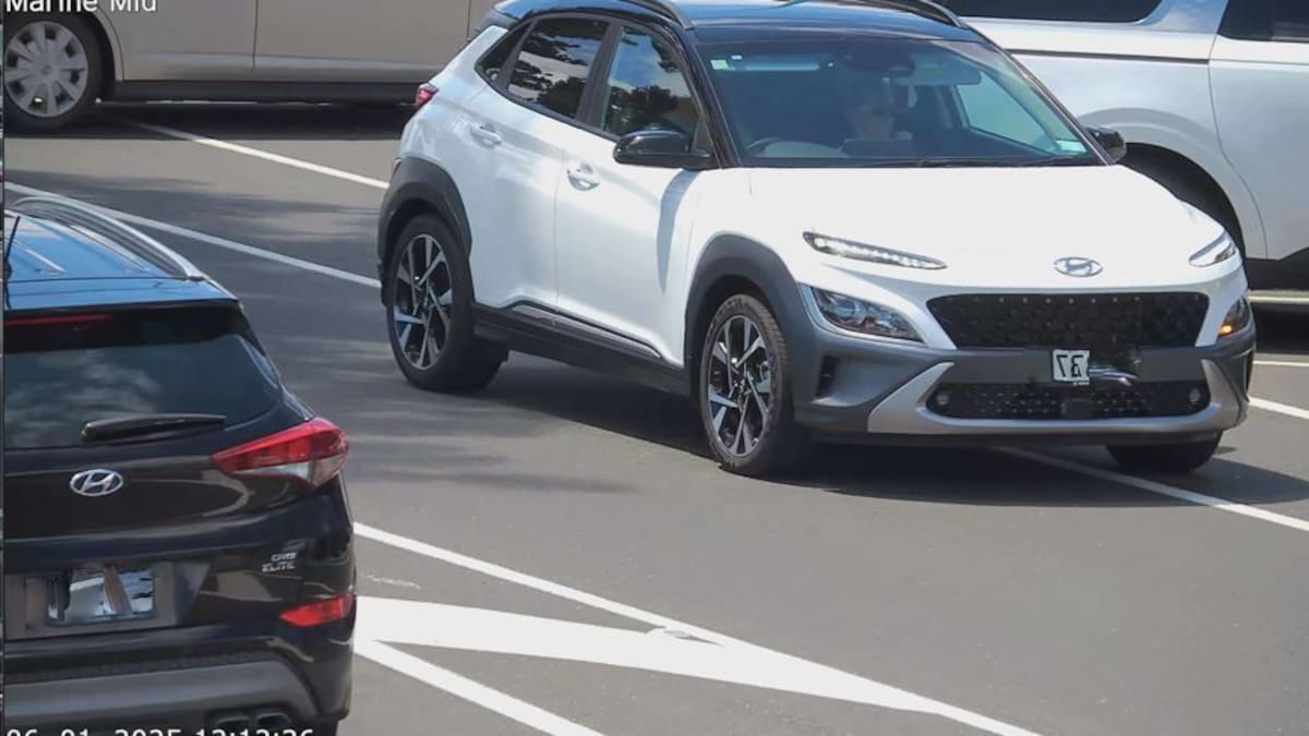 Tauranga motorists hit with $488k in fines for bus and cycle lane offences