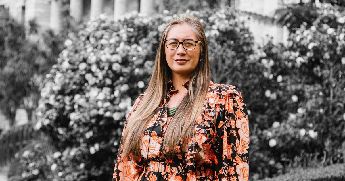 Greens health spokesperson reacts as ManageMyHealth hackers’ deadline hits – Te Ao Māori News