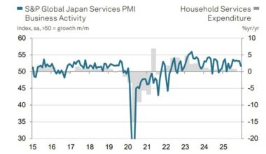 Japan services PMI slows in December as cost pressures intensify