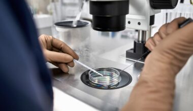 A biotech start-up says the ovaries may hold clues to ageing — a finding that could reshape IVF