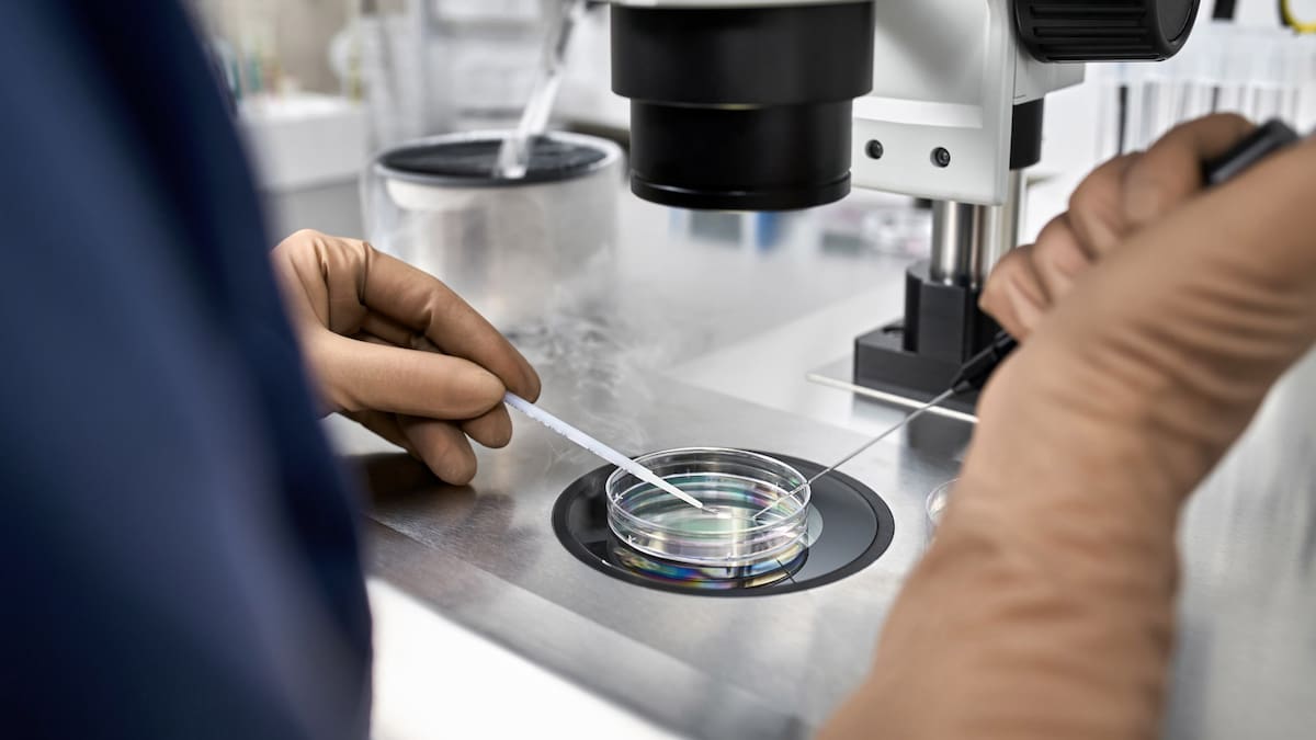 A biotech start-up says the ovaries may hold clues to ageing — a finding that could reshape IVF