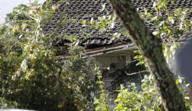 Lightning strike sends tree crashing onto Hillcrest house in Auckland