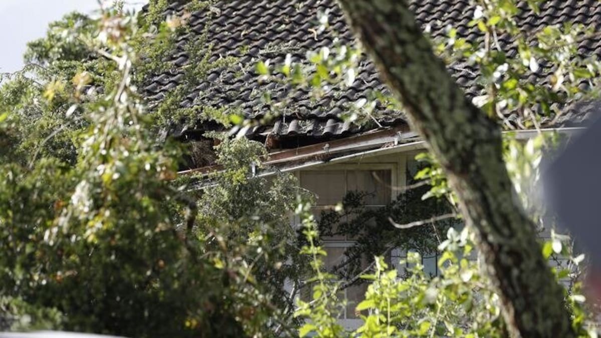 Lightning strike sends tree crashing onto Hillcrest house in Auckland